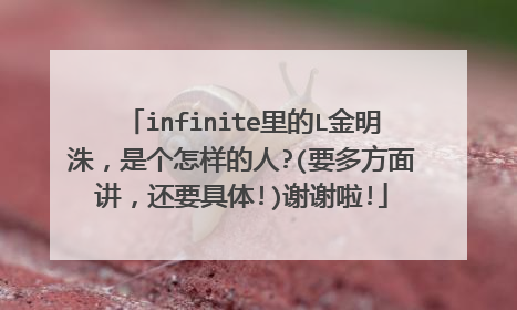 infinite里的L金明洙,是个怎样的人?(要多方面讲,还要具体!)谢谢啦!