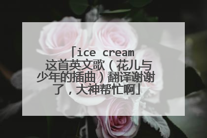 ice cream 这首英文歌(花儿与少年的插曲)翻译谢谢了,大神帮忙啊