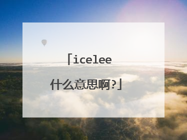 icelee 什么意思啊?