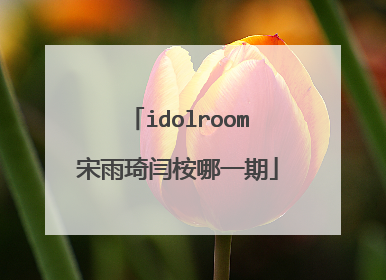idolroom宋雨琦闫桉哪一期