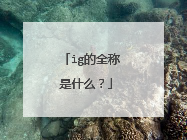 ig的全称是什么?