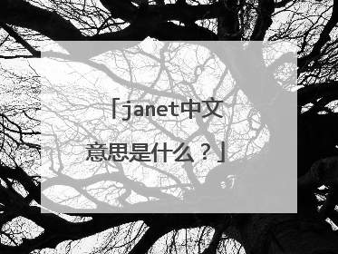 janet中文意思是什么？