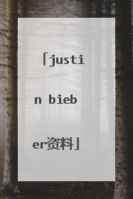 justin bieber资料