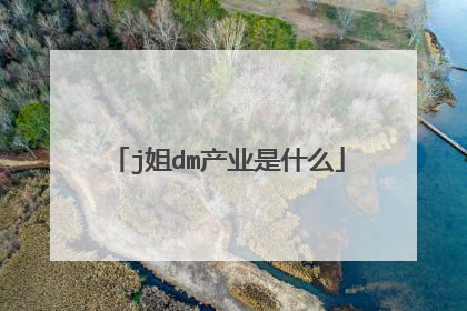 j姐dm产业是什么