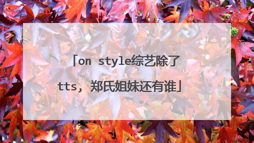 on style综艺除了tts, 郑氏姐妹还有谁