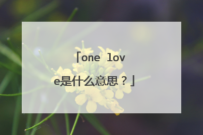 one love是什么意思?