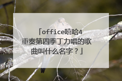 office嘻哈4重奏第四季丁力唱的歌曲叫什么名字？