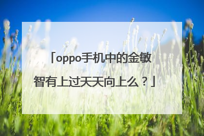 oppo手机中的金敏智有上过天天向上么？