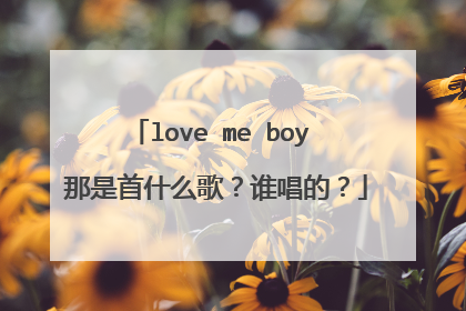 love me boy 那是首什么歌？谁唱的？