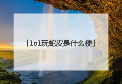 lol玩蛇皮是什么梗