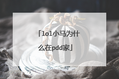 lol小马为什么在pdd家