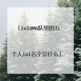 lolOMG队里的五个人lol名字是什么