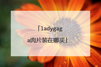 ladygaga肉片装在哪买
