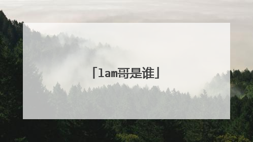 lam哥是谁