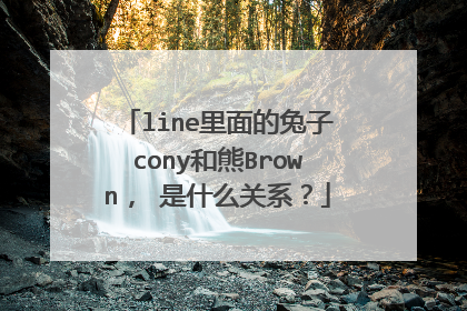 line里面的兔子cony和熊Brown, 是什么关系?