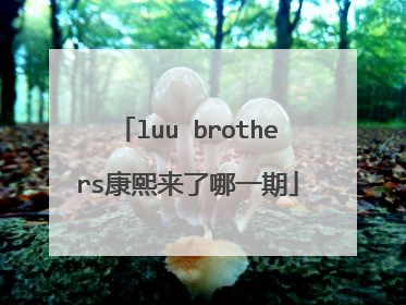 luu brothers康熙来了哪一期