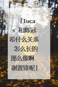 lucas 和陈冠希什么关系 怎么长的那么像啊 谢霆锋呢