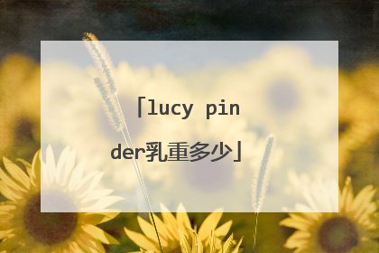lucy pinder乳重多少