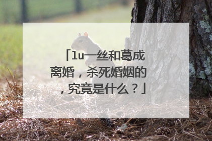 lu一丝和葛成离婚,杀死婚姻的,究竟是什么?