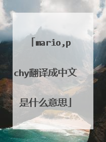 mario,pchy翻译成中文是什么意思