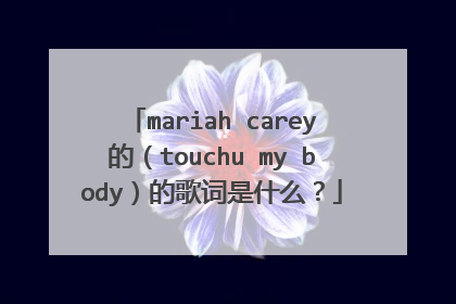 mariah carey的（touchu my body）的歌词是什么？