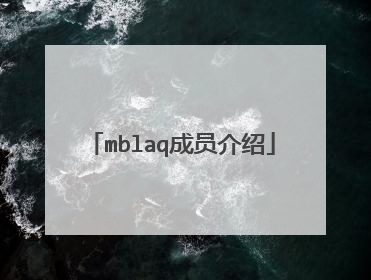 mblaq成员介绍