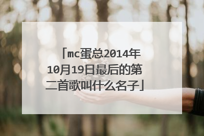mc蛋总2014年10月19日最后的第二首歌叫什么名子