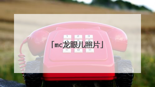 mc龙眼儿照片