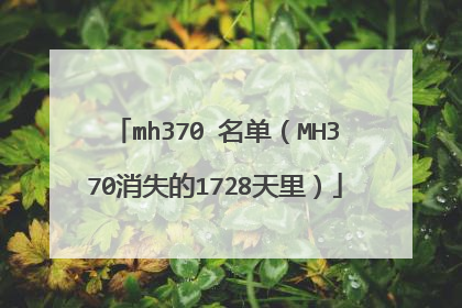 mh370 名单(MH370消失的1728天里)