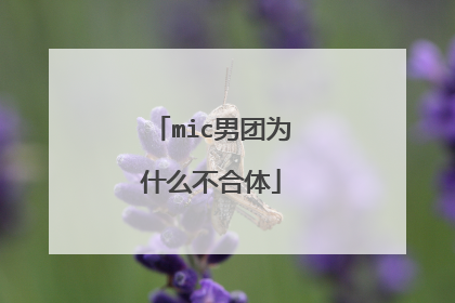 mic男团为什么不合体