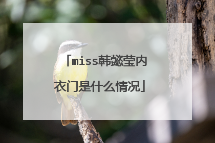 miss韩懿莹内衣门是什么情况