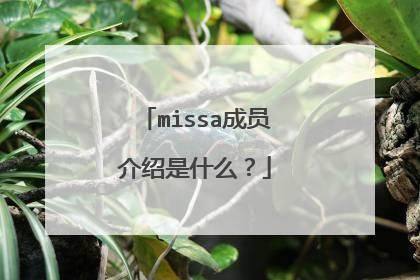 missa成员介绍是什么?