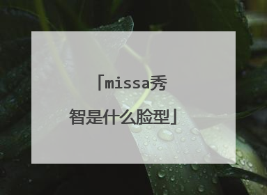 missa秀智是什么脸型