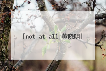 not at all 黄晓明