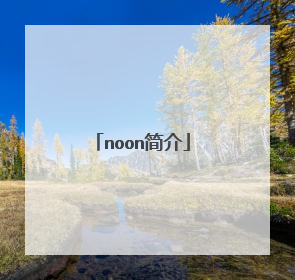noon简介