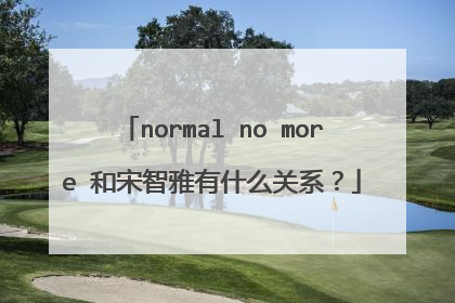normal no more 和宋智雅有什么关系?