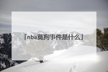 nba莫狗事件是什么
