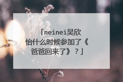 neinei吴欣怡什么时候参加了《爸爸回来了》?