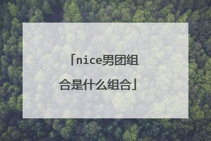 nice男团组合是什么组合