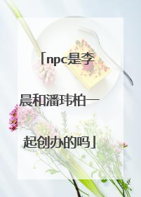 npc是李晨和潘玮柏一起创办的吗