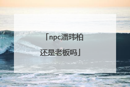 npc潘玮柏还是老板吗