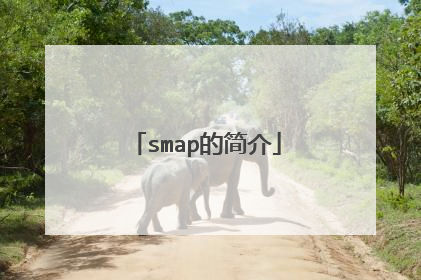 smap的简介
