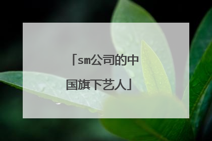 sm公司的中国旗下艺人