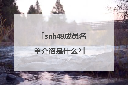 snh48成员名单介绍是什么?