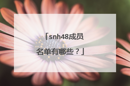 snh48成员名单有哪些？