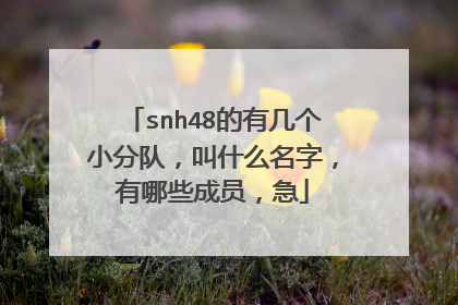 snh48的有几个小分队，叫什么名字，有哪些成员，急