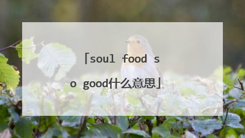 soul food so good什么意思