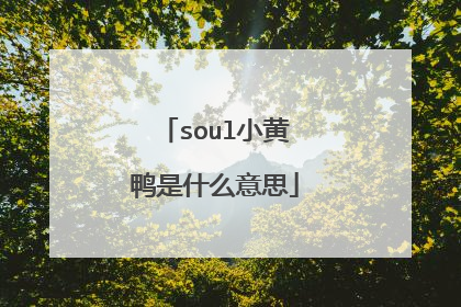 soul小黄鸭是什么意思