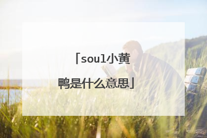 soul小黄鸭是什么意思