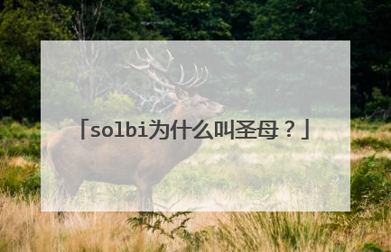 solbi为什么叫圣母？